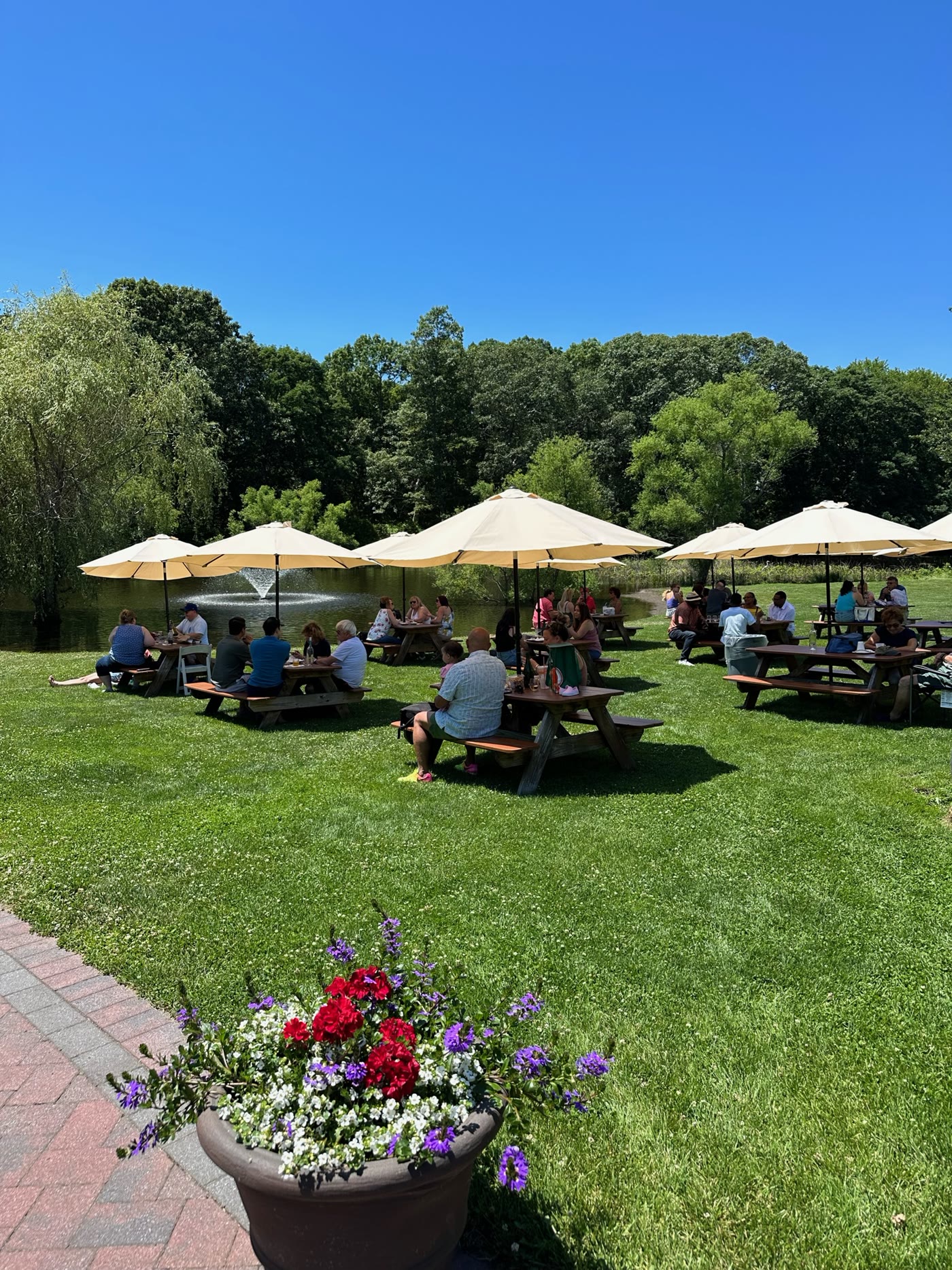 Pondside picnic lawn at Pugliese Vineyards, Cutchogue