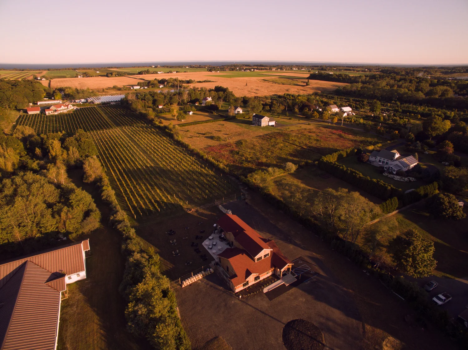 Aerial view of Sannino Vineyard, Cutchogue