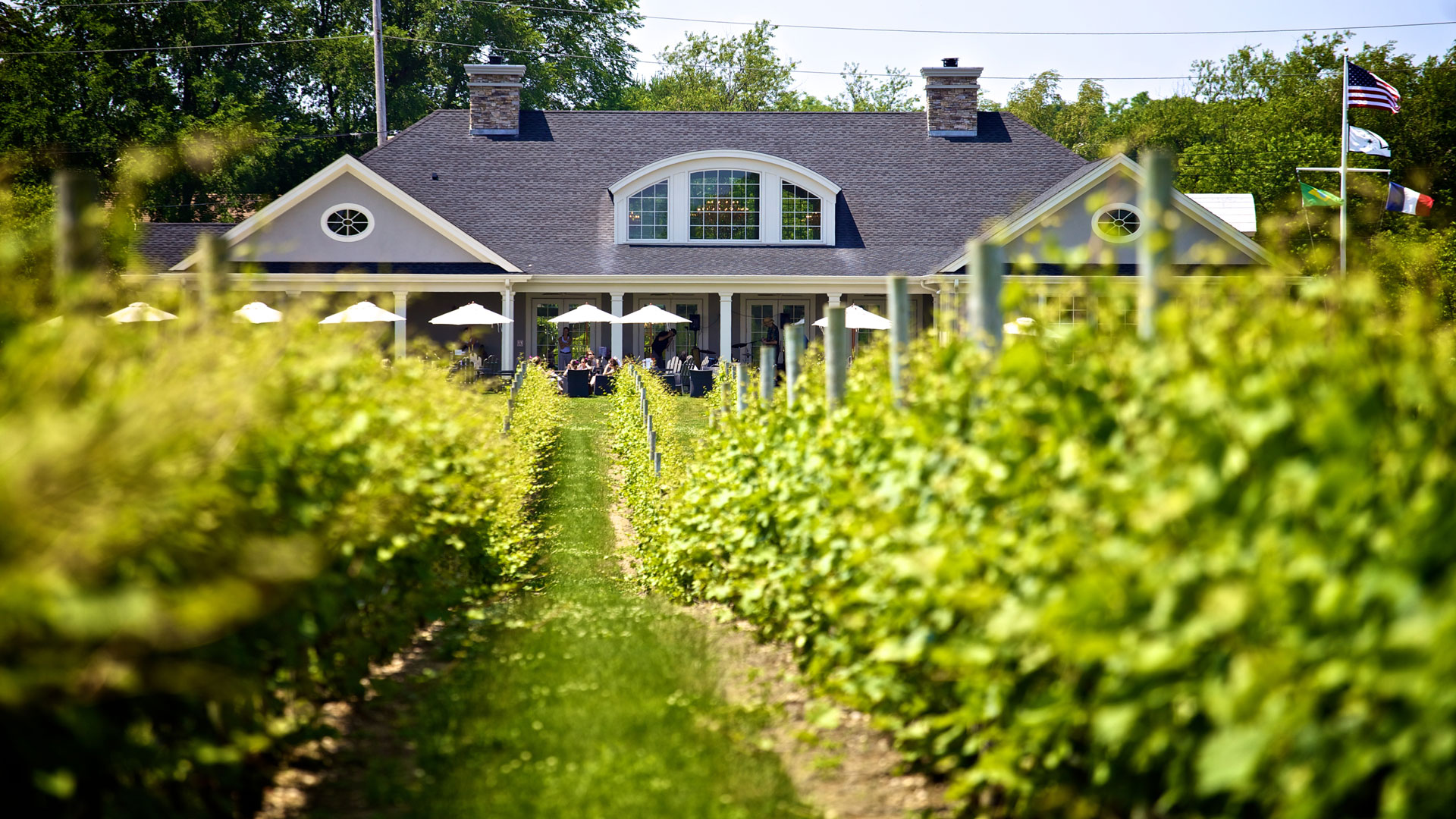Sparkling Pointe tasting house seen through the vineyard, Southold